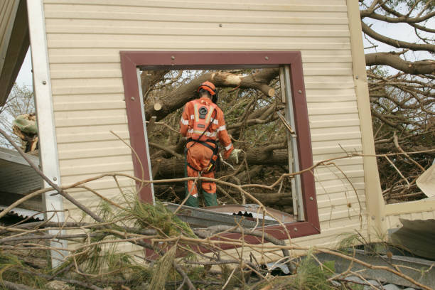 How Our Tree Care Process Works  in  Brushy Creek, TX